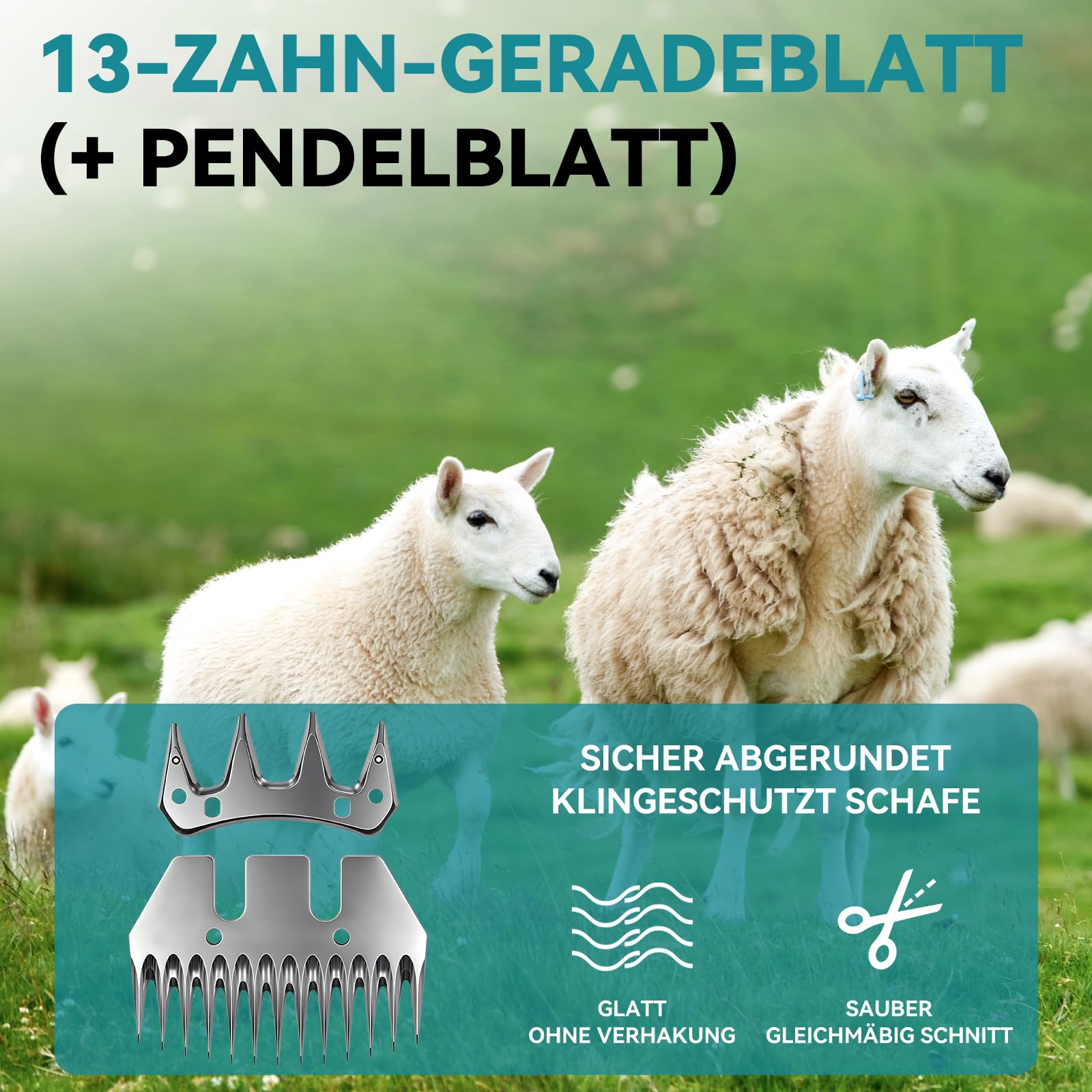 yofidra-akku-schafschermaschine-550w-6-gang-mit-2-akkus image 3