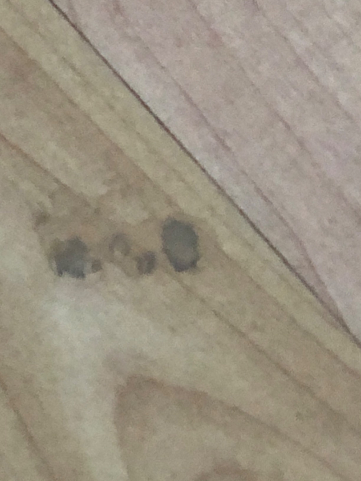 Für Laminat top