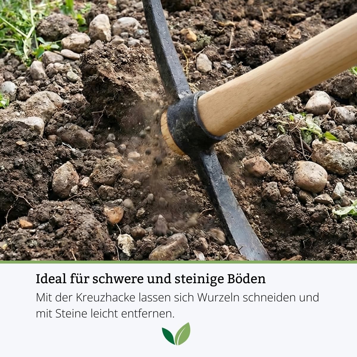galaflor-kreuzhacke-3-kg-mit-95-cm-eschenstiel-unmontiert image 5